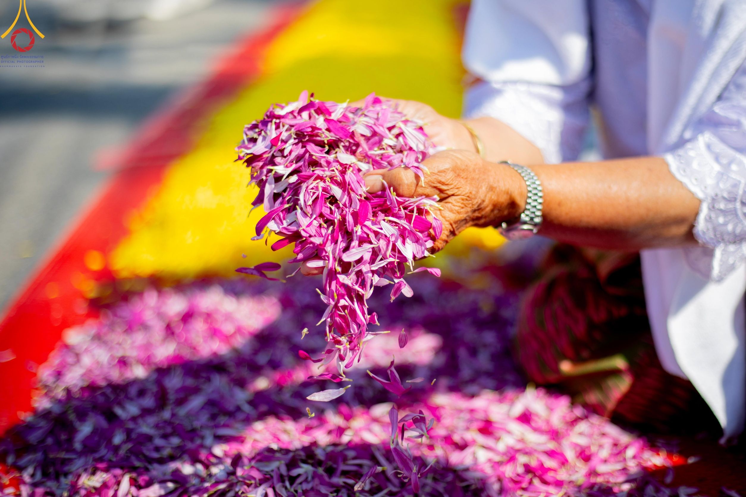 ภาพ No. 198111 : พิธีต้อนรับพระธรรมยาตรา ณ อนุสรณ์สถานลำดับที่ 5 สถานที่เผยแผ่วิชชาธรรมกายครั้งแรก อนุสรณ์สถานบางปลา วัดบางปลา อำเภอบางเลน จังหวัดนครปฐม ในโครงการธรรมยาตรา กตัญญูบูชา มหาปูชนียาจารย์ พระมงคลเทพมุนี(สด จนฺทสโร) พระผู้ปราบมาร ปีที่ 13 วัน 19 มกราคม พ.ศ.2568