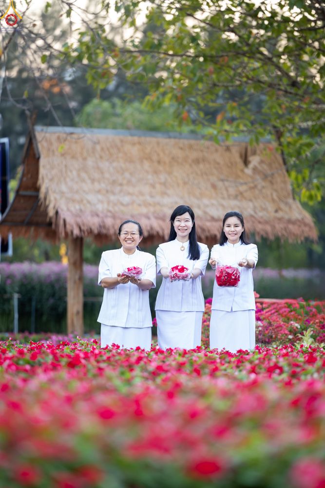 ภาพ No.281042:วันที่ 28 ธันวาคม พ.ศ.2568 กิจกรรมเก็บดอกแพงรวย ณ ทุ่งสวรรค์ตะวันฉาย วัดพระธรรมกาย