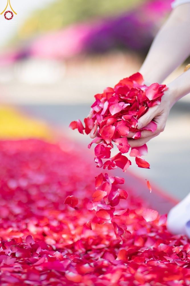 ภาพ No.42343:ประมวลภาพธรรมยาตรา ปีที่ 10  ประจำวันที่ 16 มกราคม พ.ศ. 2565