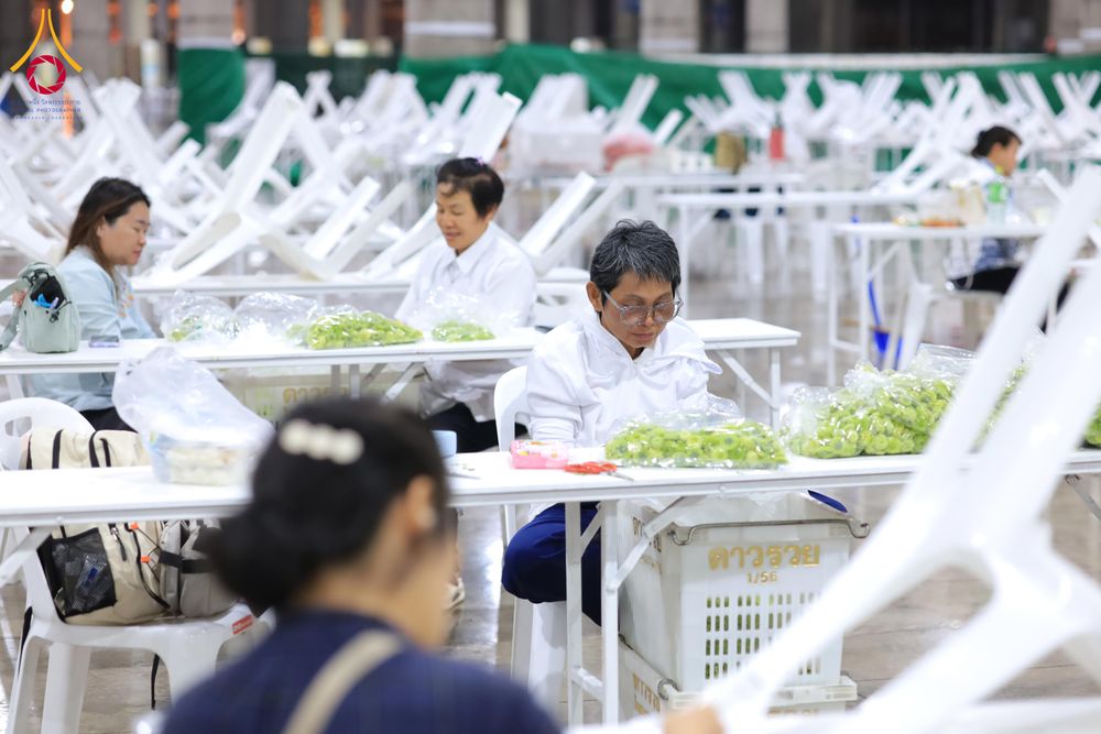 ภาพ No.303281:วันที่ 15-21 มกราคม พ.ศ.2569 ปลิดกลีบดอกเบญจทรัพย์ เพื่อโปรยต้อนรับพระธรรมยาตรา ในโครงการธรรมยาตรา กตัญญูบูชา มหาปูชนียาจารย์ พระมงคลเทพมุนี(สด จนฺทสโร) พระผู้ปราบมาร อนุสรณ์สถาน 7 แห่ง ปีที่ 14 ณ วิหารคด วัดพระธรรมกาย