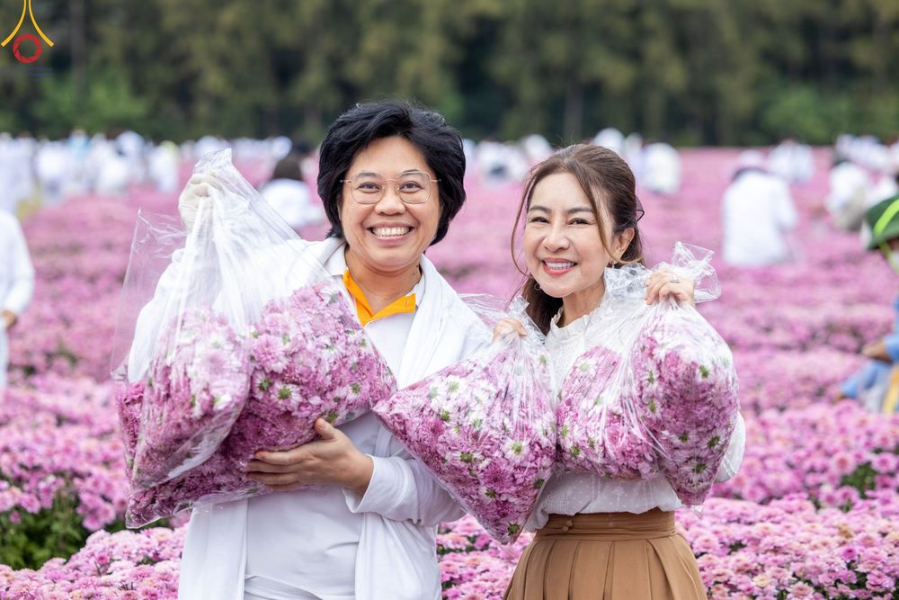 ภาพ No.104073:สาธุชนร่วมรับบุญเก็บดอกเบญจทรัพย์ ในวันอาทิตย์ที่ 24 ธันวาคม พ.ศ. 2566 ณ ทุ่งสวรรค์ตะวันฉาย บริเวณวัดพระธรรมกาย จ.ปทุมธานี