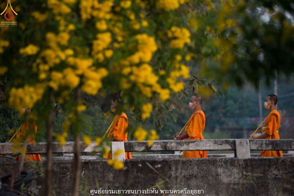 ภาพ No.42074:พิธีตัดปอยผม ปลงผม ขอขมารับผ้าไตรและพิธีบรรพชา ในโครงการอุปสมบท บูชาธรรมมหาปูชนียาจารย์ ประจำปี 2564 ชุดที่ 20
