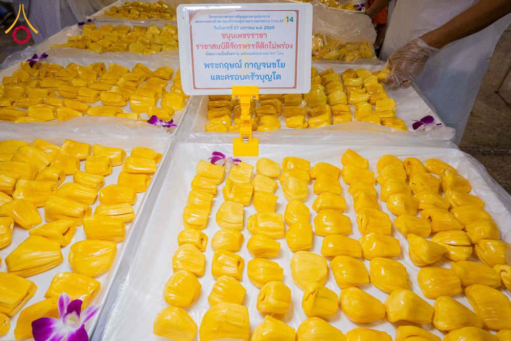 ภาพ No.303580:วันที่ 27 มกราคม พ.ศ. 2569 พิธีถวายภัตตาหารเป็นสังฆทาน แด่พระธรรมยาตรา ณ วัดพระธรรมกาย  จังหวัดปทุมธานี ในโครงการธรรมยาตรา กตัญญูบูชา มหาปูชนียาจารย์ พระมงคลเทพมุนี(สด จนฺทสโร) พระผู้ปราบมาร อนุสรณ์สถาน 7 แห่ง ปีที่ 14