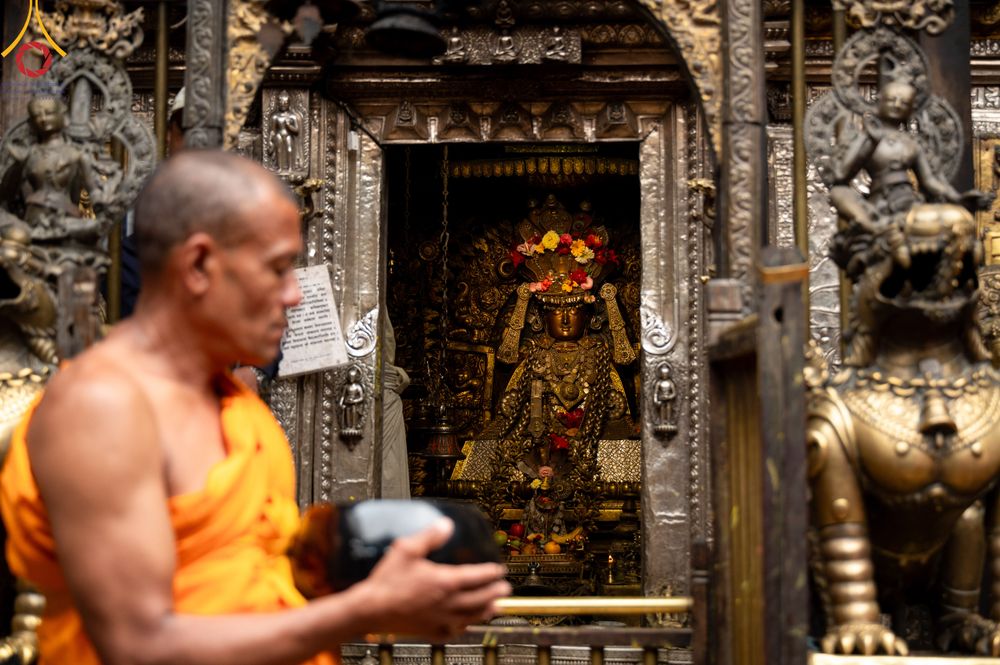 ภาพ No.317251:วันอังคารที่ 31 มีนาคม พ.ศ.2569 จาริกบิณฑบาตแห่งศรัทธา จากวัดอเชศวรสู่สี่แยกปาตันและวัดศรี ประเทศเนปาล