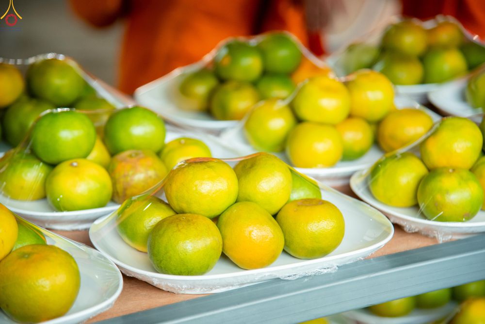 ภาพ No.325751:วันที่ 22 เมษายน พ.ศ.2569(วันคุ้มครองโลก) งานถวายมหาสังฆทาน 40,000 กว่าวัดทั่วประเทศ เจ้าหน้าที่ สาธุชน ร่วมใจจัดเตรียมภัตตาหารเพล (ชุด 2)