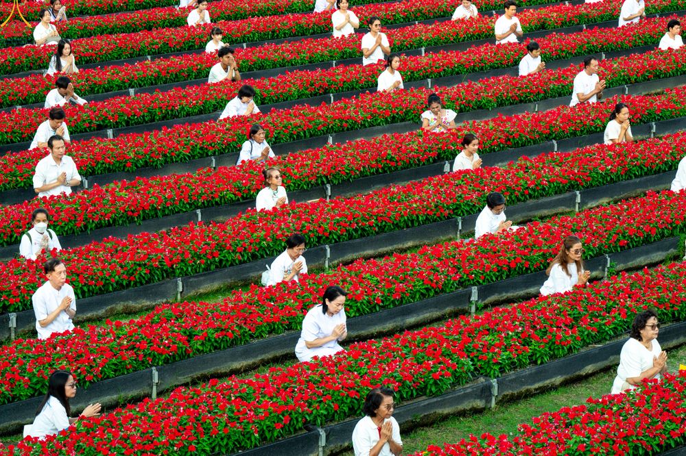 ภาพ No.280898:วันที่ 28 ธันวาคม พ.ศ.2568 กิจกรรมเก็บดอกแพงรวย ณ ทุ่งสวรรค์ตะวันฉาย วัดพระธรรมกาย