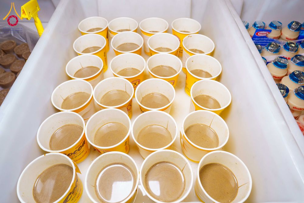 ภาพ No.303181:วันที่ 26 มกราคม พ.ศ. 2569 พิธีถวายภัตตาหารเป็นสังฆทาน แด่พระธรรมยาตรา ณ วัดพระธรรมกาย  จังหวัดปทุมธานี ในโครงการธรรมยาตรา กตัญญูบูชา มหาปูชนียาจารย์ พระมงคลเทพมุนี(สด จนฺทสโร) พระผู้ปราบมาร อนุสรณ์สถาน 7 แห่ง ปีที่ 14