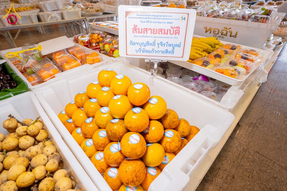 ภาพ No.307054:วันที่ 31 มกราคม พ.ศ. 2569 พิธีถวายภัตตาหารเป็นสังฆทาน แด่พระธรรมยาตรา ณ วัดพระธรรมกาย  จังหวัดปทุมธานี ในโครงการธรรมยาตรา กตัญญูบูชา มหาปูชนียาจารย์ พระมงคลเทพมุนี(สด จนฺทสโร) พระผู้ปราบมาร อนุสรณ์สถาน 7 แห่ง ปีที่ 14