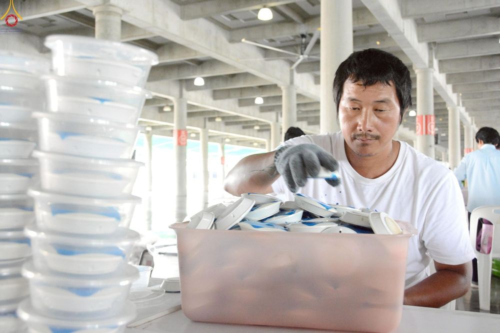 ภาพ No.246649:วันที่ 12 กันยายน พ.ศ. 2568 การเก็บงาน จัดเก็บไฟ LED ของเจ้าหน้าที่ทุกสถานะ ณ วิหารคด วัดพระธรรมกาย