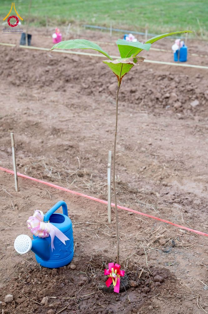 ภาพ No.266059:วันพุธที่ 5 พฤศจิกายน พ.ศ. 2568 (วันพระ ขึ้น 15 ค่ำ เดือน 12) พิธีจุดประทีปโคมลาน, โคมลอย และลอยกระทง ถวายประทีปเป็นพุทธบูชา สร้างความสว่างไสวให้กับแผ่นดินด้วยแสงธรรม ณ พุทธอุทยานนานาชาติ จังหวัดหนองคาย