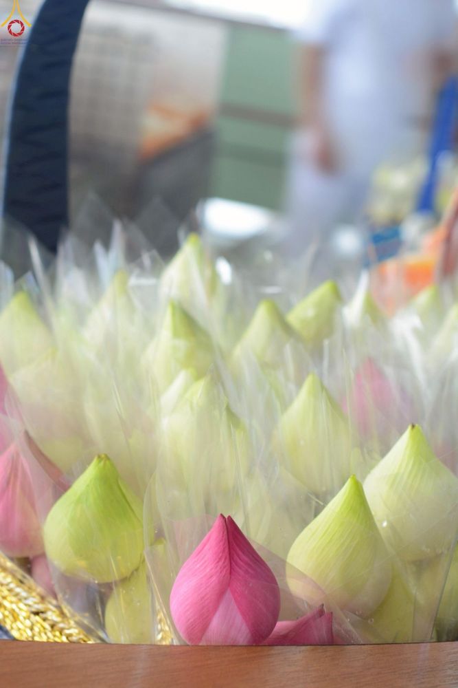 ภาพ No.246955:วันที่ 20 กันยายน พ.ศ. 2568 พิธีถวายเมนูสวรรค์เพื่อการบรรลุธรรม ณ หอฉันคุณยายอาจารย์ฯ วัดพระธรรมกาย