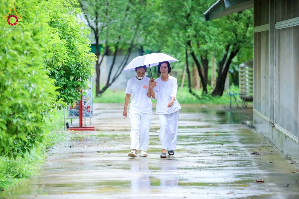ผู้หญิงสองคนสวมชุดสีขาวเดินกางร่มด้วยกันบนทางเดินท่ามกลางฝนตกในพื้นที่ที่มีต้นไม้