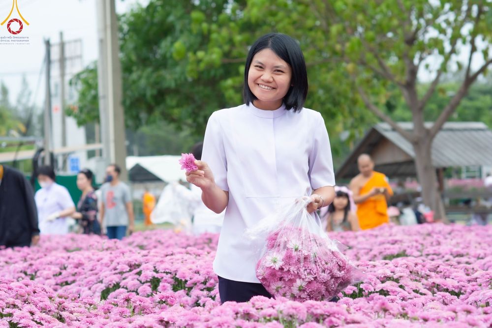 ภาพ No.104059:สาธุชนร่วมรับบุญเก็บดอกเบญจทรัพย์ ในวันอาทิตย์ที่ 24 ธันวาคม พ.ศ. 2566 ณ ทุ่งสวรรค์ตะวันฉาย บริเวณวัดพระธรรมกาย จ.ปทุมธานี