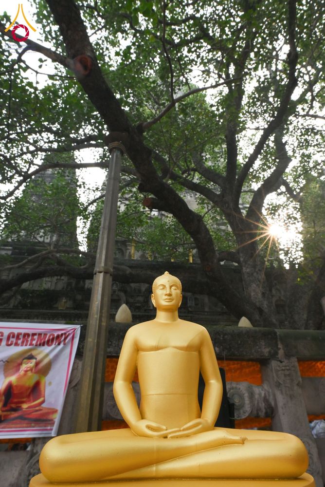 ภาพ No.179783:พิธีทอดกฐินสมทบ ณ วัดพุทธรัตน ทอดกฐินใต้ต้นพระศรีมหาโพธิ์ เมืองพุทธคยา ประเทศอินเดีย วันที่ 12 พฤศจิกายน พ.ศ. 2567