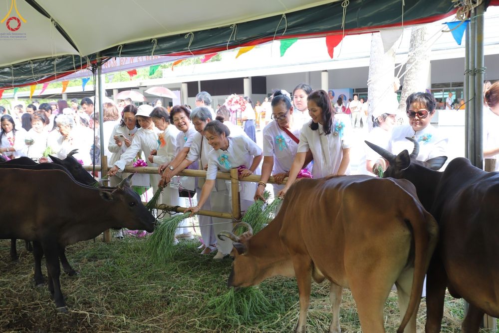 ภาพ No.86585:พิธีบุพเปตพลีนานาชาติ ปีที่ 10  วันเสาร์ที่ 19 สิงหาคม 2566  ณ ศูนย์ปฏิบัติธรรมภาคใต้ อ.บางกล่ำ จ.สงขลา