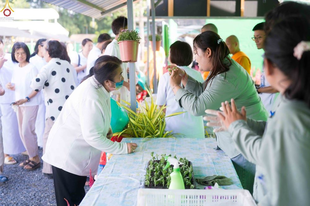 ภาพ No.343876:วันที่ 16 สิงหาคม พ.ศ.2569 การปักชำต้นกล้าเบญจทรัพย์ เพื่อเตรียมดอกไม้บูชาธรรม พระเดชพระคุณหลวงปู่ และโปรยต้อนรับพระธรรมยาตรา ปีที่ 15 ณ โรงเรือนปักชำประตู 8 วัดพระธรรมกาย