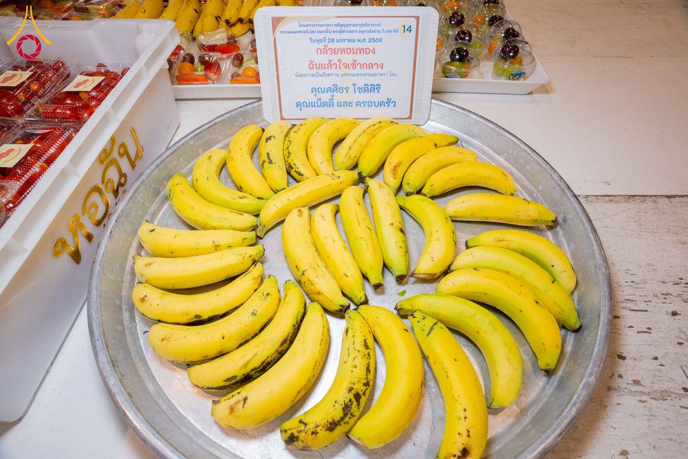 ภาพ No.303937:วันที่ 28 มกราคม พ.ศ. 2569 พิธีถวายภัตตาหารเป็นสังฆทาน แด่พระธรรมยาตรา ณ วัดพระธรรมกาย  จังหวัดปทุมธานี ในโครงการธรรมยาตรา กตัญญูบูชา มหาปูชนียาจารย์ พระมงคลเทพมุนี(สด จนฺทสโร) พระผู้ปราบมาร อนุสรณ์สถาน 7 แห่ง ปีที่ 14