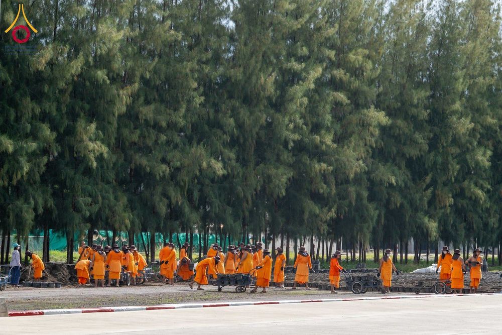 ภาพ No.346855:วันอาทิตย์ที่ 30 สิงหาคม พ.ศ.2569 การปักชำต้นกล้าเบญจทรัพย์ เพื่อเตรียมดอกไม้บูชาธรรม พระเดชพระคุณหลวงปู่ และโปรยต้อนรับพระธรรมยาตรา ปีที่ 15 ณ แปลงปลูก B ปทุมเจดีย์ วัดพระธรรมกาย