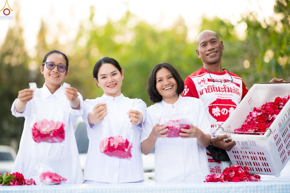 ภาพ No.281046:วันที่ 28 ธันวาคม พ.ศ.2568 กิจกรรมเก็บดอกแพงรวย ณ ทุ่งสวรรค์ตะวันฉาย วัดพระธรรมกาย