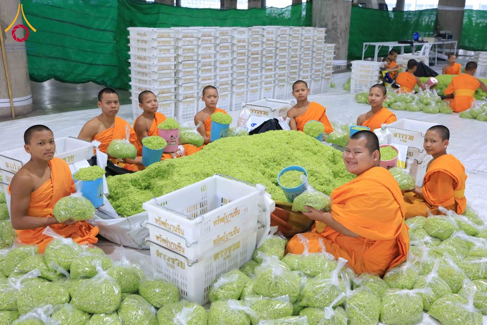 ภาพ No.303248:วันที่ 15-21 มกราคม พ.ศ.2569 ปลิดกลีบดอกเบญจทรัพย์ เพื่อโปรยต้อนรับพระธรรมยาตรา ในโครงการธรรมยาตรา กตัญญูบูชา มหาปูชนียาจารย์ พระมงคลเทพมุนี(สด จนฺทสโร) พระผู้ปราบมาร อนุสรณ์สถาน 7 แห่ง ปีที่ 14 ณ วิหารคด วัดพระธรรมกาย