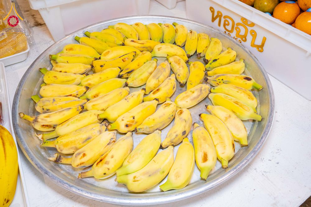 ภาพ No.305654:วันที่ 29 มกราคม พ.ศ. 2569 พิธีถวายภัตตาหารเป็นสังฆทาน แด่พระธรรมยาตรา ณ วัดพระธรรมกาย  จังหวัดปทุมธานี ในโครงการธรรมยาตรา กตัญญูบูชา มหาปูชนียาจารย์ พระมงคลเทพมุนี(สด จนฺทสโร) พระผู้ปราบมาร อนุสรณ์สถาน 7 แห่ง ปีที่ 14