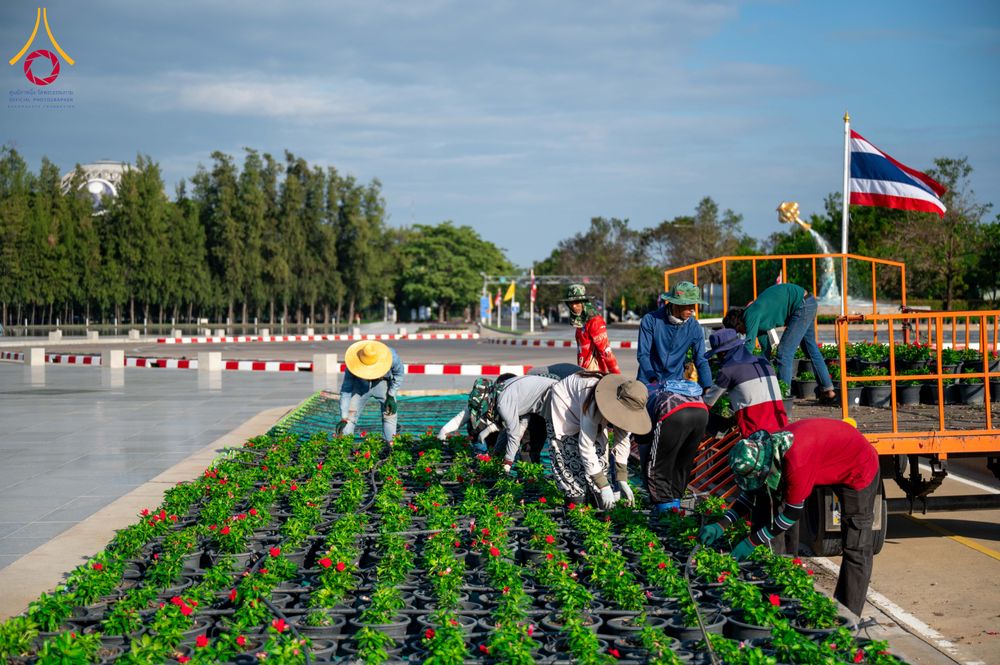 ภาพ No.285375:วันพุธที่ 10 ธันวาคม พ.ศ.2568  การเตรียมความพร้อมในโครงการธรรมยาตรา กตัญญูบูชา มหาปูชนียาจารย์ พระมงคลเทพมุนี(สด จนฺทสโร) พระผู้ปราบมาร อนุสรณ์สถาน 7 แห่ง ปีที่ 14 เก็บดอกเบญจทรัพย์ ณ วัดพระธรรมกาย