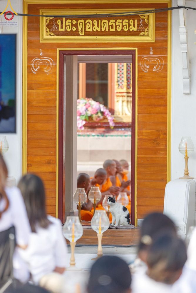 ภาพ No.206309:พิธีจุดประทีปถวายเป็นพุทธบูชา และบูชาธรรมมหาปูชนียาจารย์ ณ วัดสองพี่น้อง ต.ต้นตาล อ.สองพี่น้อง จ.สุพรรณบุรี ในโครงการธรรมยาตรา กตัญญูบูชา มหาปูชนียาจารย์ พระมงคลเทพมุนี(สด จนฺทสโร) พระผู้ปราบมาร อนุสรณ์สถาน 7 แห่ง ปีที่ 13 วันที่ 14 มกราคม พ.ศ. 2568