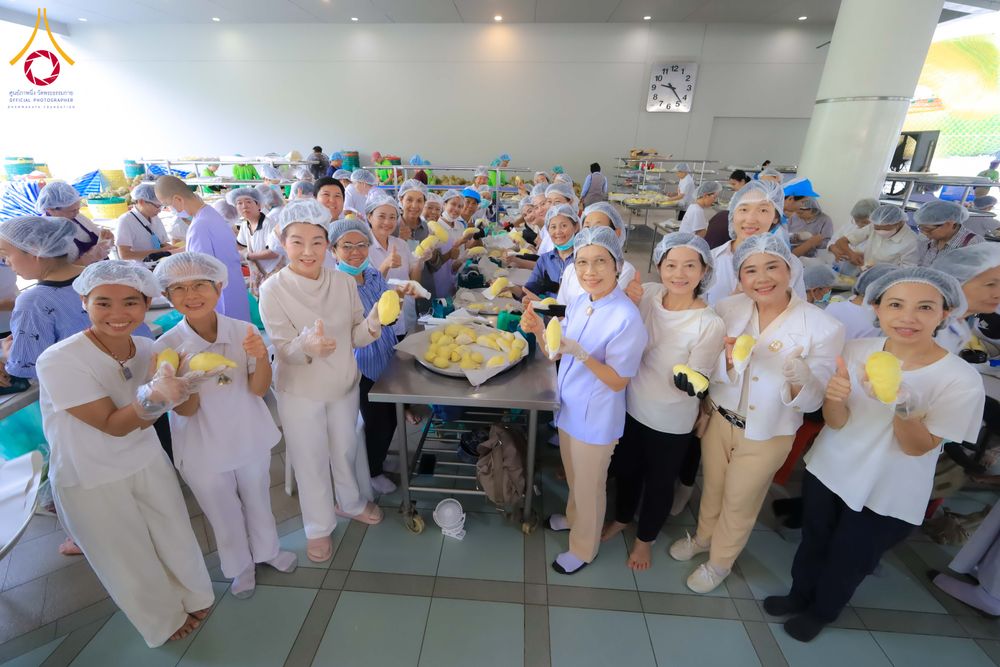 ภาพ No.323556:วันที่ 21 เมษายน 2569 ปอกทุเรียน 26 ตัน 75,000 กล่อง เตรียมงานถวายสังฆทาน40000กว่าวัดทั่วประเทศ