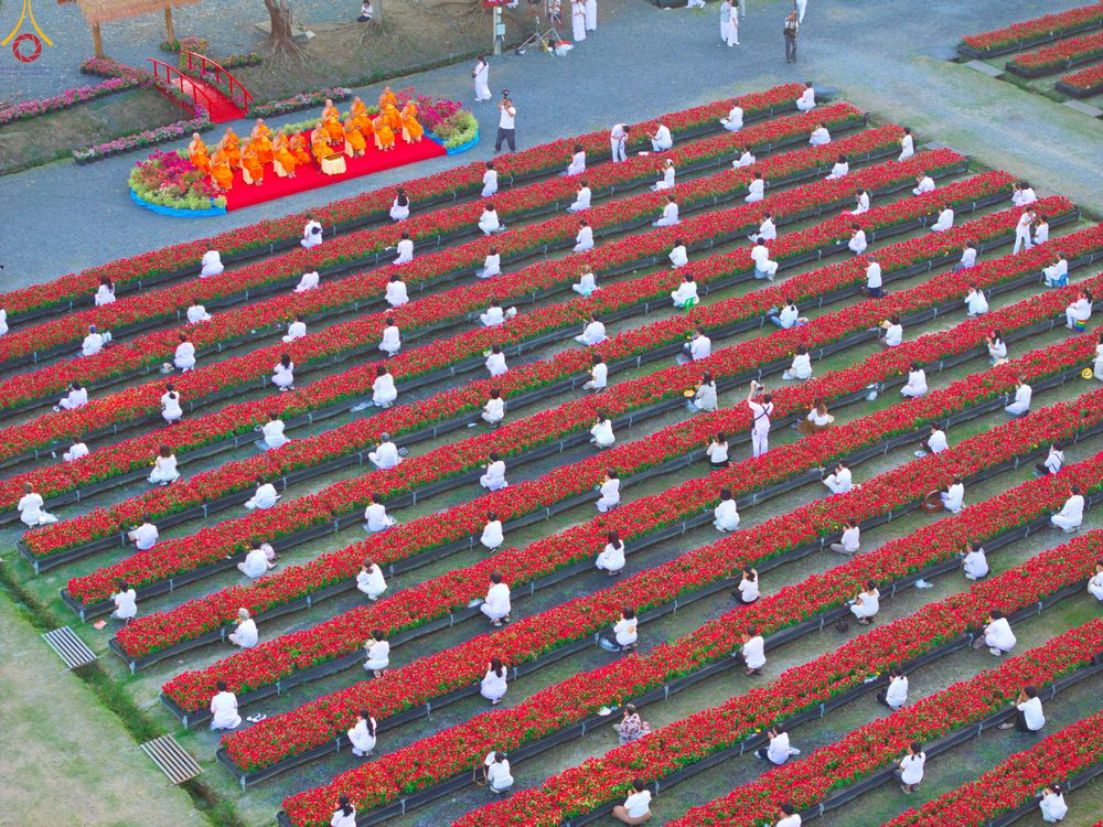 ภาพ No.280896:วันที่ 28 ธันวาคม พ.ศ.2568 กิจกรรมเก็บดอกแพงรวย ณ ทุ่งสวรรค์ตะวันฉาย วัดพระธรรมกาย