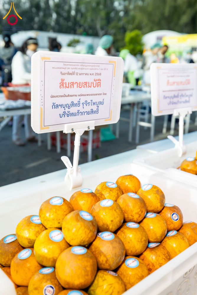 ภาพ No.193800:สาธุชนถวายภัตตาหารเป็นสังฆทาน แด่พระธรรมยาตรา ณ อนุสรณ์สถานมหาวิหารพระมงคลเทพมุนี (โลตัสแลนด์) อ.สองพี่น้อง จ.สุพรรณบุรี ในโครงการธรรมยาตรา กตัญญูบูชา มหาปูชนียาจารย์ พระมงคลเทพมุนี(สด จนฺทสโร) พระผู้ปราบมาร ปีที่ 13 วันที่ 12 มกราคม พ.ศ.2568