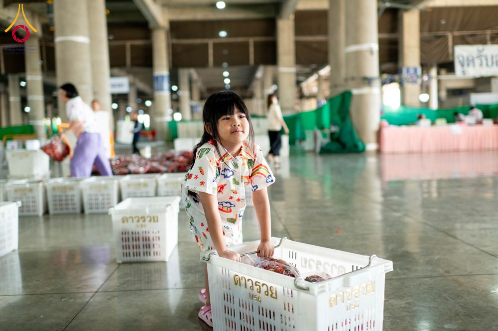 ภาพ No.279434:วันที่ 19-26 ธันวาคม พ.ศ. 2568 และ วันที่ 1 มกราคม พ.ศ.2569 รับบุญปลิดกลีบดอกไม้ เพื่อโปรยต้อนรับพระธรรมยาตรา