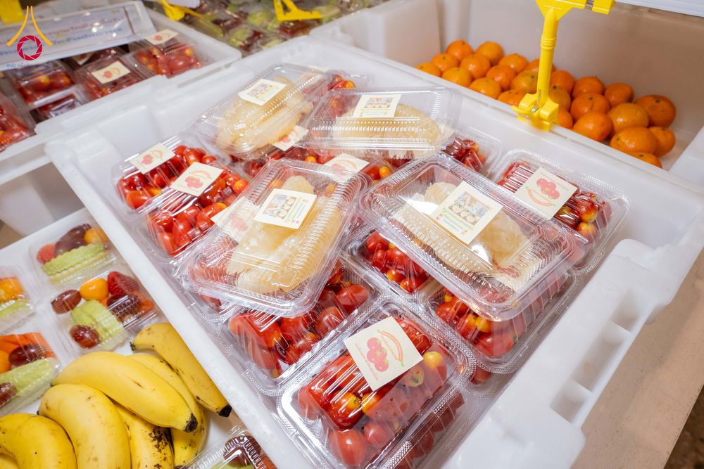 ภาพ No.303935:วันที่ 28 มกราคม พ.ศ. 2569 พิธีถวายภัตตาหารเป็นสังฆทาน แด่พระธรรมยาตรา ณ วัดพระธรรมกาย  จังหวัดปทุมธานี ในโครงการธรรมยาตรา กตัญญูบูชา มหาปูชนียาจารย์ พระมงคลเทพมุนี(สด จนฺทสโร) พระผู้ปราบมาร อนุสรณ์สถาน 7 แห่ง ปีที่ 14