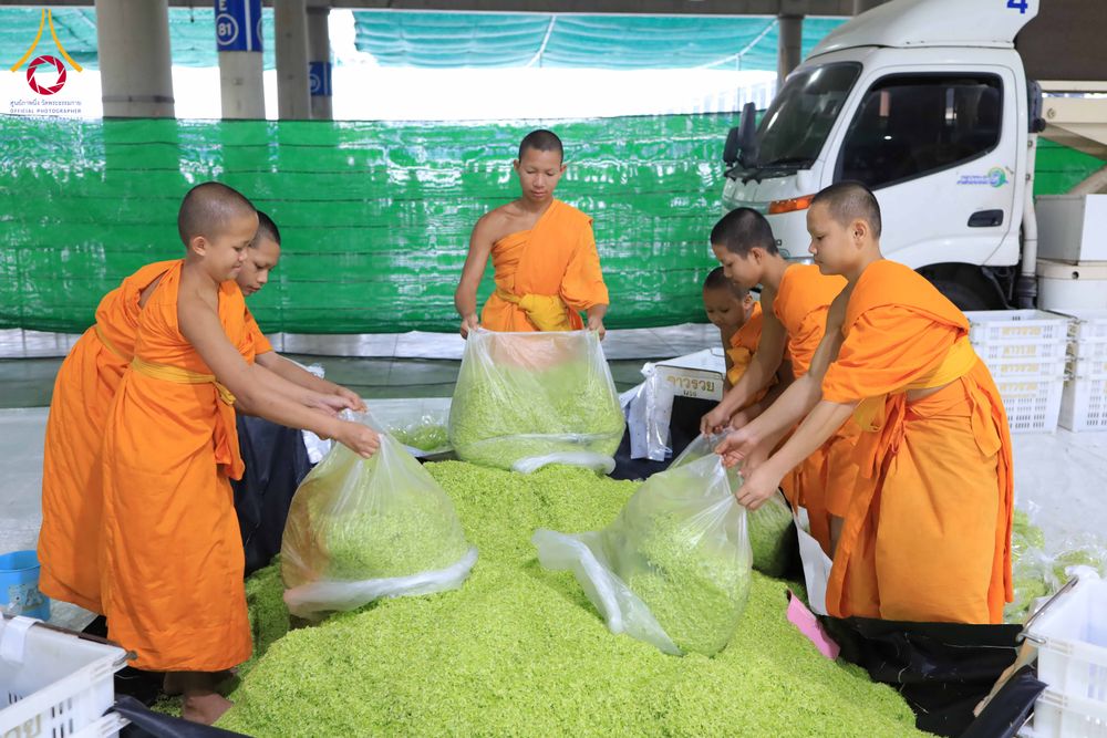 ภาพ No.303249:วันที่ 15-21 มกราคม พ.ศ.2569 ปลิดกลีบดอกเบญจทรัพย์ เพื่อโปรยต้อนรับพระธรรมยาตรา ในโครงการธรรมยาตรา กตัญญูบูชา มหาปูชนียาจารย์ พระมงคลเทพมุนี(สด จนฺทสโร) พระผู้ปราบมาร อนุสรณ์สถาน 7 แห่ง ปีที่ 14 ณ วิหารคด วัดพระธรรมกาย