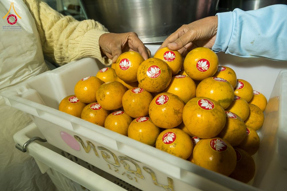 ภาพ No.290722:วันที่ 9 มกราคม พ.ศ. 2569 พิธีถวายภัตตาหารเป็นสังฆทาน แด่พระธรรมยาตรา ณ อนุสรณ์สถานคลองบางนางแท่น อ.สามพราน จ.นครปฐม ในโครงการธรรมยาตรา กตัญญูบูชา มหาปูชนียาจารย์ พระมงคลเทพมุนี(สด จนฺทสโร) พระผู้ปราบมาร อนุสรณ์สถาน 7 แห่ง ปีที่ 14