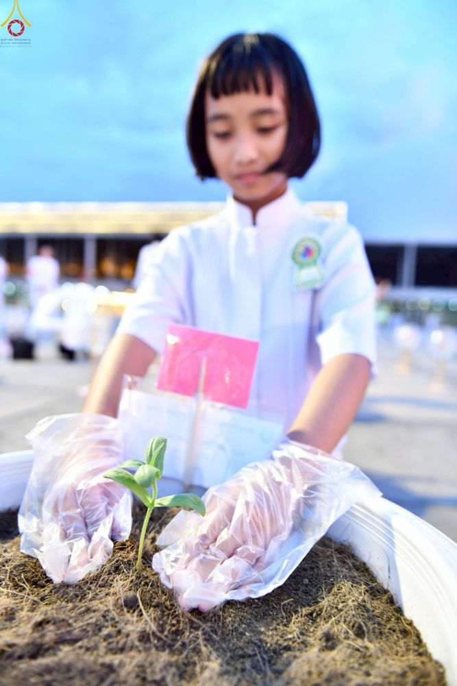 ภาพ No.253051:วันที่ 10 ตุลาคม พ.ศ. 2568 พิธีปลูกต้นทรัพย์บานชื่น ณ ลานธรรม วัดพระธรรมกาย