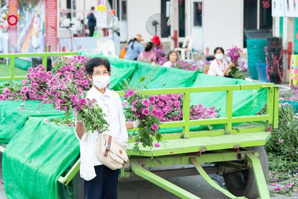 ภาพ No.279411:วันที่ 19-26 ธันวาคม พ.ศ. 2568 และ วันที่ 1 มกราคม พ.ศ.2569 รับบุญปลิดกลีบดอกไม้ เพื่อโปรยต้อนรับพระธรรมยาตรา