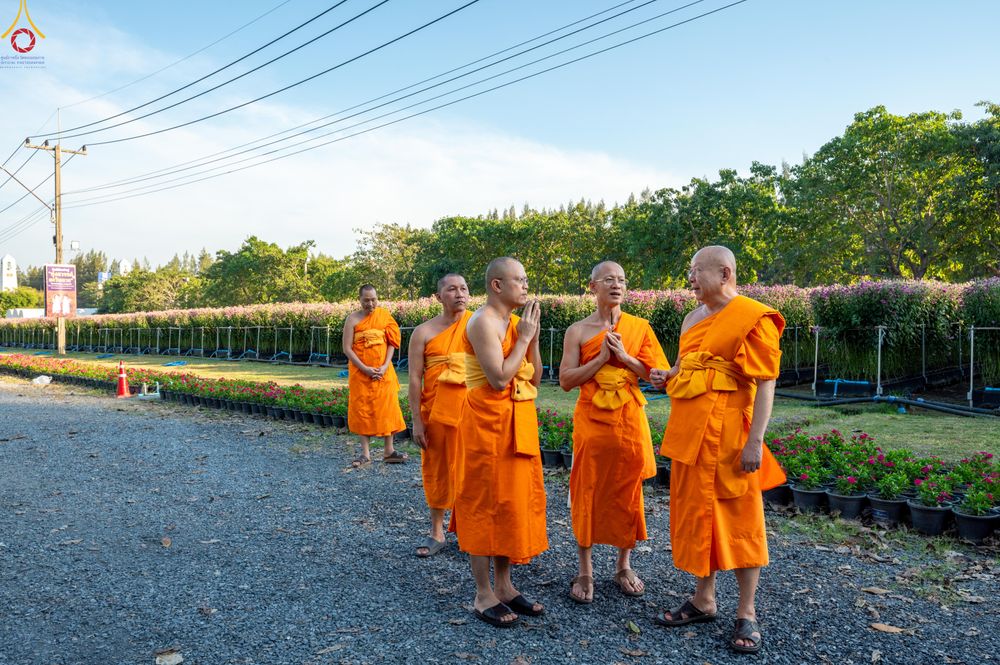 ภาพ No.280886:วันที่ 28 ธันวาคม พ.ศ.2568 กิจกรรมเก็บดอกแพงรวย ณ ทุ่งสวรรค์ตะวันฉาย วัดพระธรรมกาย