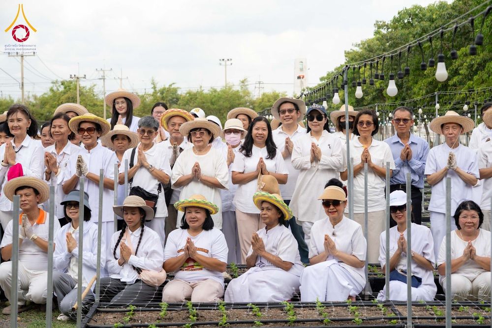 ภาพ No.346862:วันอาทิตย์ที่ 30 สิงหาคม พ.ศ.2569 การปักชำต้นกล้าเบญจทรัพย์ เพื่อเตรียมดอกไม้บูชาธรรม พระเดชพระคุณหลวงปู่ และโปรยต้อนรับพระธรรมยาตรา ปีที่ 15 ณ แปลงปลูก B ปทุมเจดีย์ วัดพระธรรมกาย