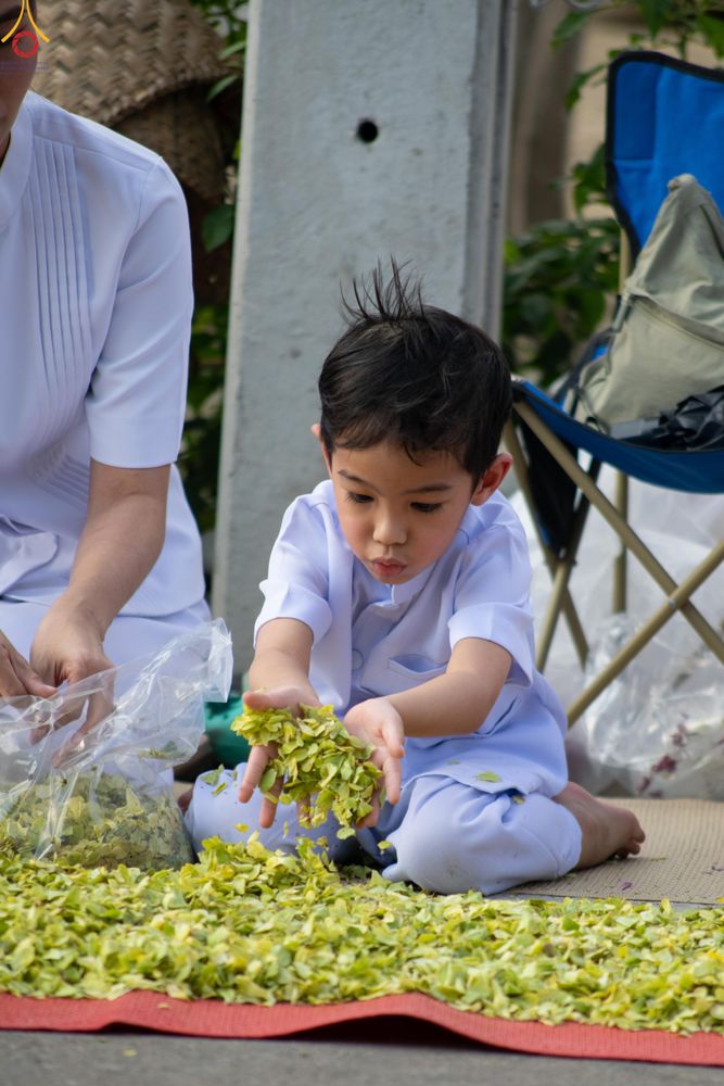 ภาพ No.294960:วันที่ 14 มกราคม พ.ศ. 2569 พิธีต้อนรับพระธรรมยาตรา อนุสรณ์สถานลำดับที่ 4  สถานที่เกิดด้วยกายธรรม ณ วัดโบสถ์บน ต.บางคูเวียง จ.นนทบุรี ในโครงการธรรมยาตรา กตัญญูบูชา มหาปูชนียาจารย์ พระมงคลเทพมุนี(สด จนฺทสโร) พระผู้ปราบมาร อนุสรณ์สถาน 7 แห่ง ปีที่ 14
