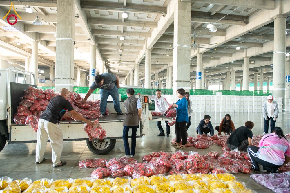 ภาพ No.279430:วันที่ 19-26 ธันวาคม พ.ศ. 2568 และ วันที่ 1 มกราคม พ.ศ.2569 รับบุญปลิดกลีบดอกไม้ เพื่อโปรยต้อนรับพระธรรมยาตรา