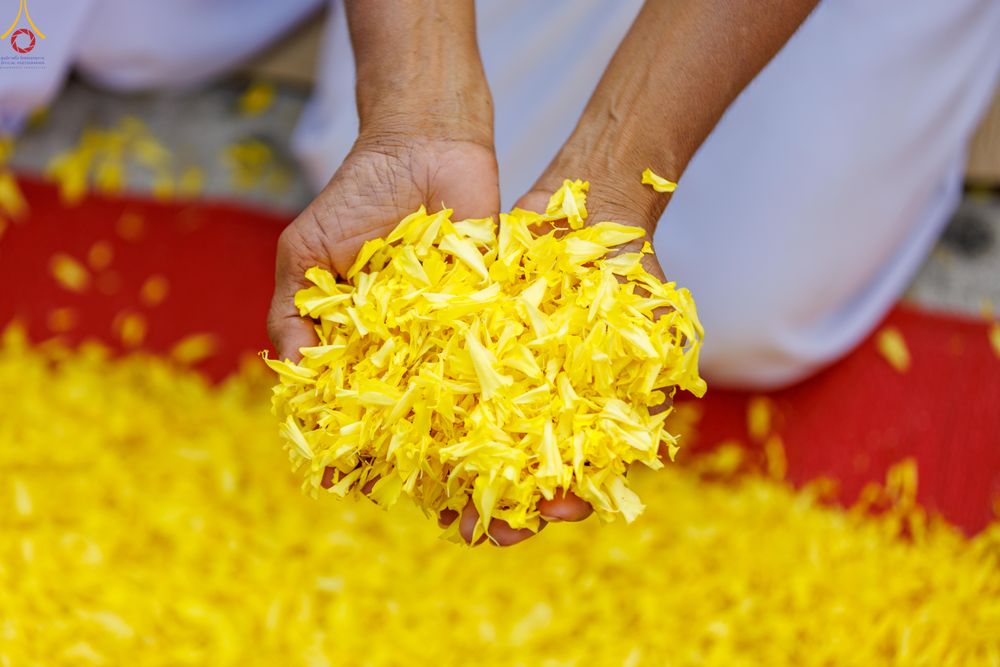 ภาพ No.295021:วันที่ 14 มกราคม พ.ศ. 2569 พิธีต้อนรับพระธรรมยาตรา อนุสรณ์สถานลำดับที่ 4  สถานที่เกิดด้วยกายธรรม ณ วัดโบสถ์บน ต.บางคูเวียง จ.นนทบุรี ในโครงการธรรมยาตรา กตัญญูบูชา มหาปูชนียาจารย์ พระมงคลเทพมุนี(สด จนฺทสโร) พระผู้ปราบมาร อนุสรณ์สถาน 7 แห่ง ปีที่ 14