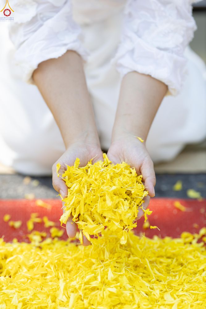 ภาพ No.286838:วันที่ 2 มกราคม พ.ศ.2569 พิธีต้อนรับพระธรรมยาตรา ครั้งที่ 1 (ภาพชุดที่ 2) ณ วัดพระธรรมกาย (วิหารหลวงปู่ - พระมหาธรรมกายเจดีย์)