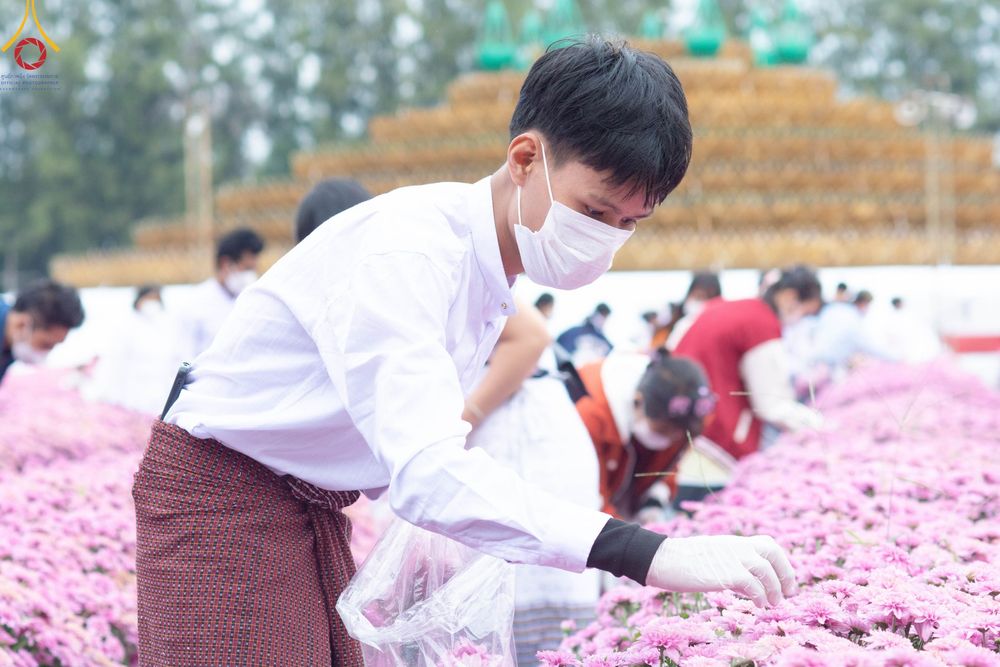 ภาพ No.104045:สาธุชนร่วมรับบุญเก็บดอกเบญจทรัพย์ ในวันอาทิตย์ที่ 24 ธันวาคม พ.ศ. 2566 ณ ทุ่งสวรรค์ตะวันฉาย บริเวณวัดพระธรรมกาย จ.ปทุมธานี