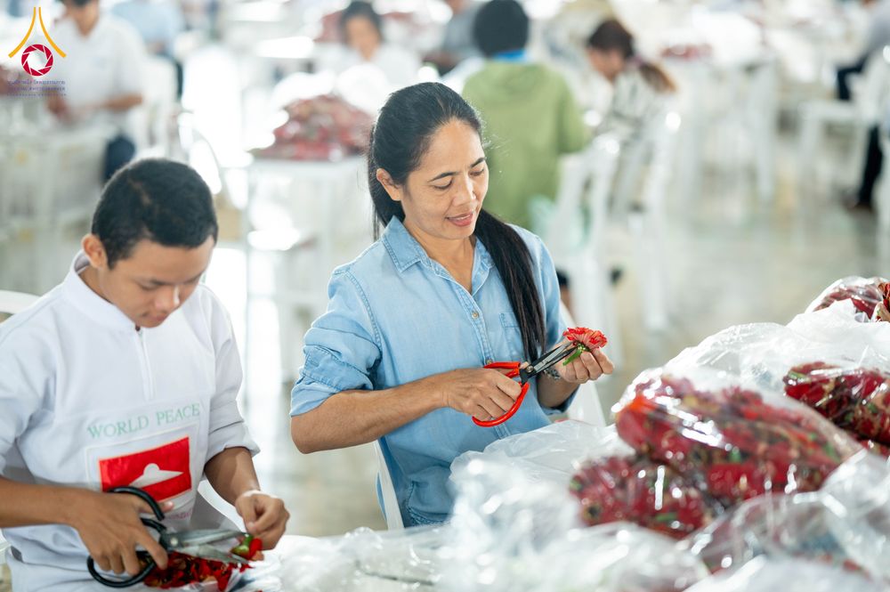 ภาพ No.279472:วันที่ 19-26 ธันวาคม พ.ศ. 2568 และ วันที่ 1 มกราคม พ.ศ.2569 รับบุญปลิดกลีบดอกไม้ เพื่อโปรยต้อนรับพระธรรมยาตรา