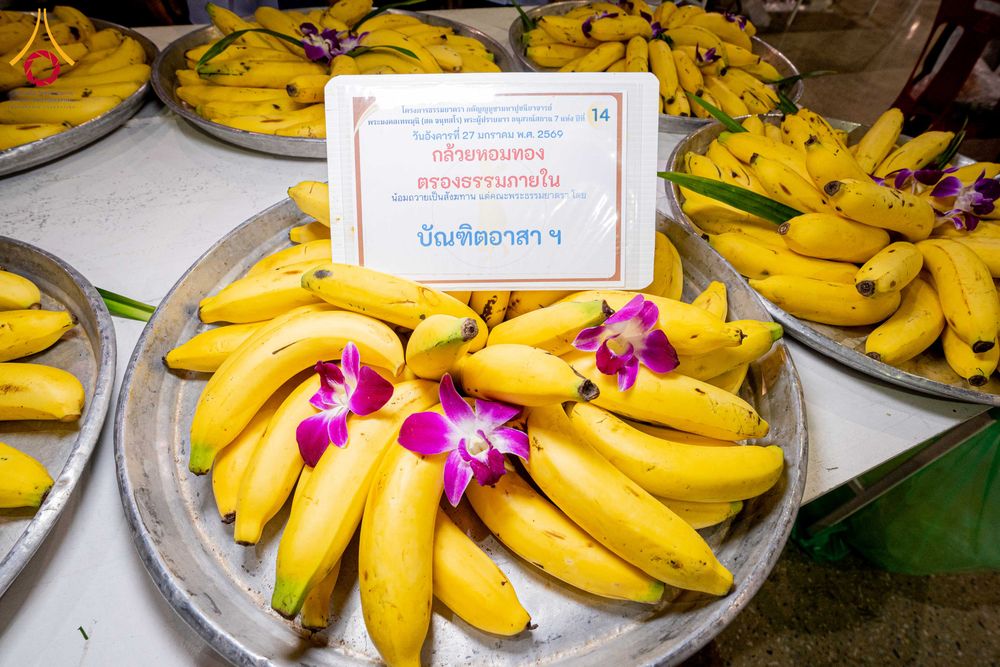 ภาพ No.303589:วันที่ 27 มกราคม พ.ศ. 2569 พิธีถวายภัตตาหารเป็นสังฆทาน แด่พระธรรมยาตรา ณ วัดพระธรรมกาย  จังหวัดปทุมธานี ในโครงการธรรมยาตรา กตัญญูบูชา มหาปูชนียาจารย์ พระมงคลเทพมุนี(สด จนฺทสโร) พระผู้ปราบมาร อนุสรณ์สถาน 7 แห่ง ปีที่ 14