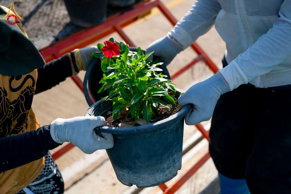 ภาพ No.285371:วันพุธที่ 10 ธันวาคม พ.ศ.2568  การเตรียมความพร้อมในโครงการธรรมยาตรา กตัญญูบูชา มหาปูชนียาจารย์ พระมงคลเทพมุนี(สด จนฺทสโร) พระผู้ปราบมาร อนุสรณ์สถาน 7 แห่ง ปีที่ 14 เก็บดอกเบญจทรัพย์ ณ วัดพระธรรมกาย