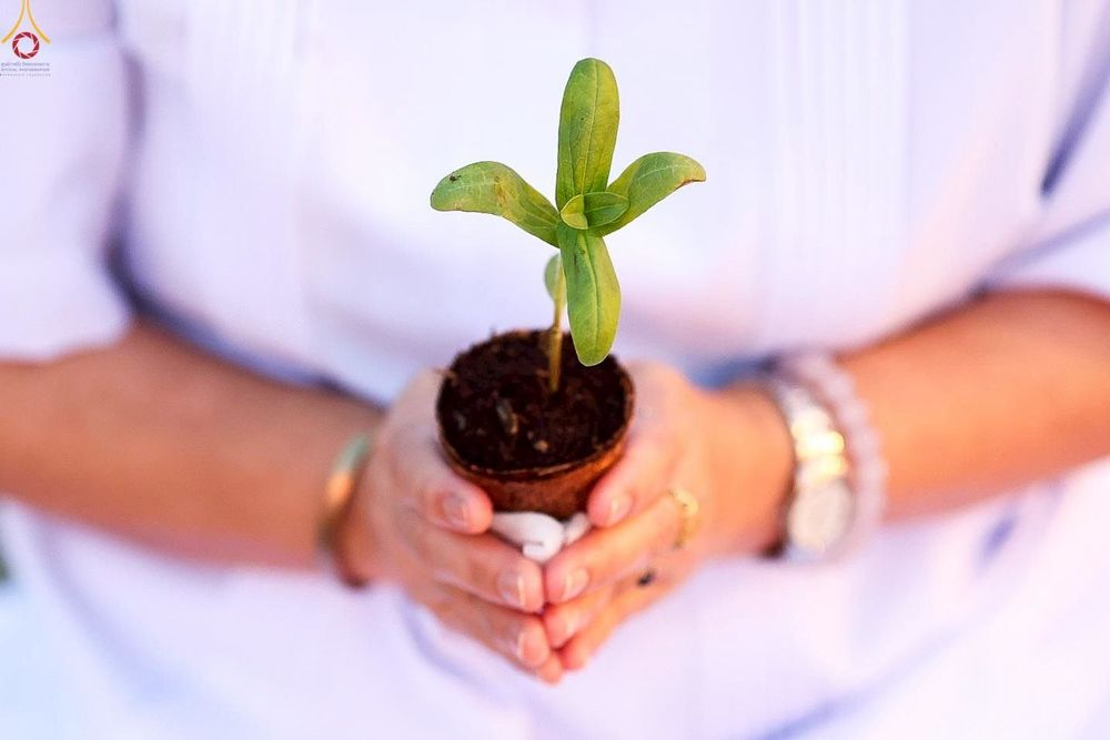 ภาพ No.252984:วันที่ 10 ตุลาคม พ.ศ. 2568 พิธีปลูกต้นทรัพย์บานชื่น ณ ลานธรรม วัดพระธรรมกาย