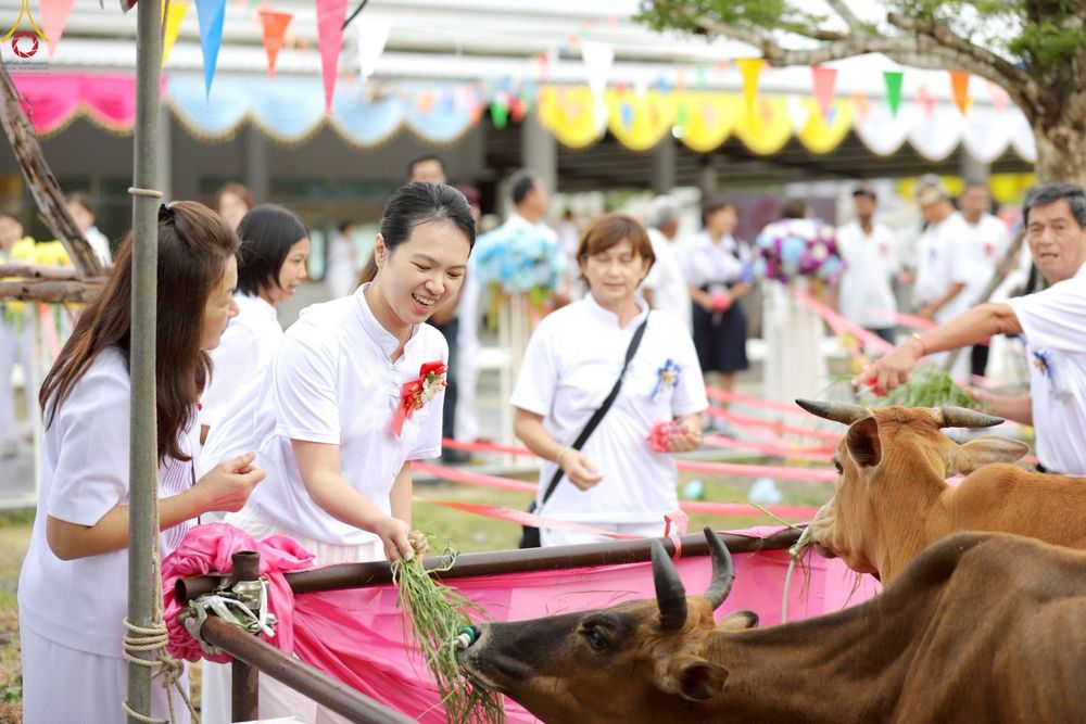 ภาพ No.241561:วันเสาร์ที่ 23 สิงหาคม พ.ศ. 2568 พิธีบุพเปตพลีนานาชาติ ปีที่ 12 ณ ศูนย์ปฏิบัติธรรมภาคใต้ อ.บางกล่ำ จ.สงขลา