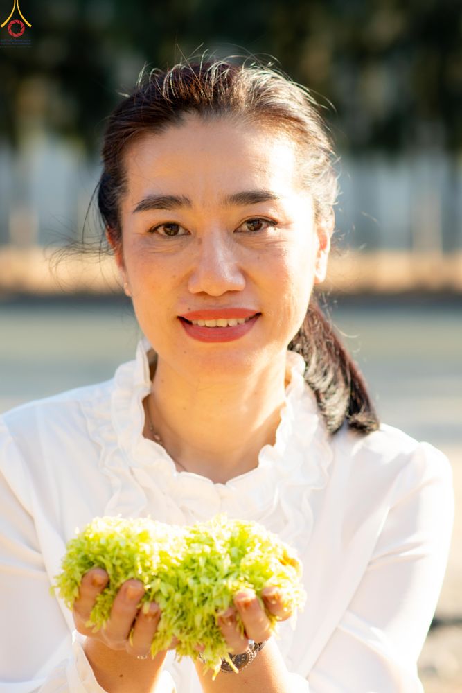 ภาพ No.305739:วันที่ 25 มกราคม พ.ศ. 2569 พิธีต้อนรับพระธรรมยาตรา วัดพระธรรมกาย(ภาพชุดที่ 3) ในโครงการธรรมยาตรา กตัญญูบูชา มหาปูชนียาจารย์ พระมงคลเทพมุนี(สด จนฺทสโร) พระผู้ปราบมาร อนุสรณ์สถาน 7 แห่ง ปีที่ 14