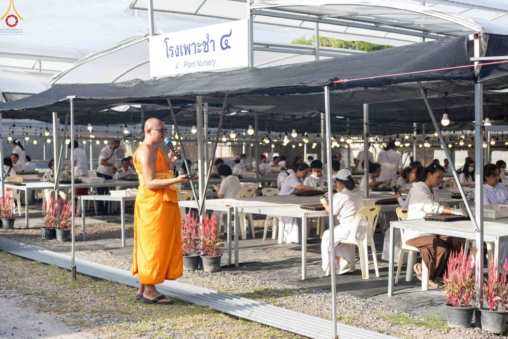 ภาพ No.343882:วันที่ 16 สิงหาคม พ.ศ.2569 การปักชำต้นกล้าเบญจทรัพย์ เพื่อเตรียมดอกไม้บูชาธรรม พระเดชพระคุณหลวงปู่ และโปรยต้อนรับพระธรรมยาตรา ปีที่ 15 ณ โรงเรือนปักชำประตู 8 วัดพระธรรมกาย